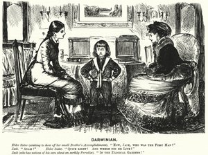 Cartone animato di Punch: (incisione)