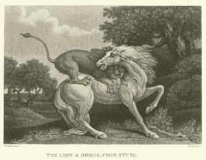 Il leone e il cavallo, da Stubs