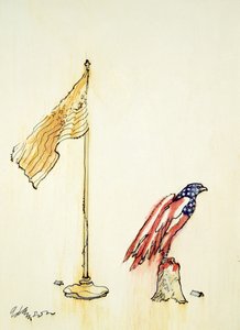 Aquila americana acquisisce la colorazione della bandiera USA
