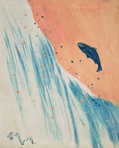 Salto del salmone da George Adamson