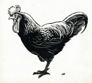 La Gallina, Anni 