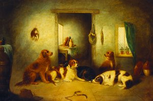 Aspettando il padrone da George Armfield