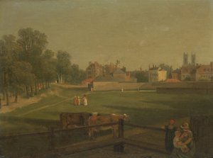 Vista occidentale di parte di Westminster e Bird Cage Walk, da Mill House da George Arnald