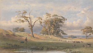 Vecchio campo britannico nel parco di Bulstrode da George Arthur Fripp