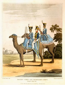 Corpo dei razzi e Corpo dei dromedari, esercito del Bengala 1817, da 