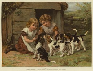 Cuccioli da George Augustus Holmes