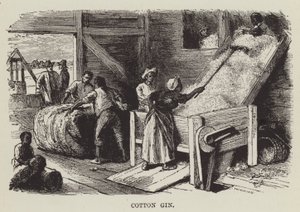 Sgranatrice di cotone da George Augustus Sala