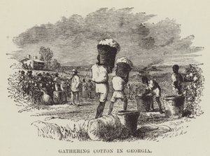 Raccolta del cotone in Georgia da George Augustus Sala