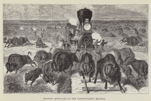 Caccia ai bufali sulla ferrovia Kansas-Pacific da George Augustus Sala