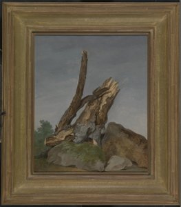 Studio di rocce e rami, c.1795