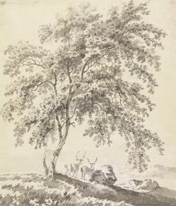 Studio di Alberi con Cervi (Paesaggio)