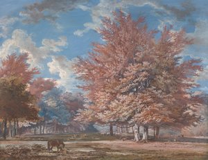 Vista in un Parco