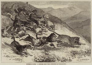 Caccia in India, una caccia al leopardo con foxhound a Ootacamund da George Bouverie Goddard