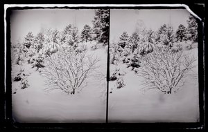 Prospect Park, Brooklyn, c.1872-87 da George Bradford Brainerd