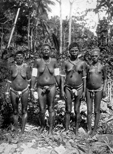Donne in abiti festivi, Melanesia da George Brown