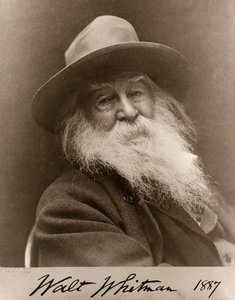Ritratto di Walt Whitman nel 1887 da George C. Cox