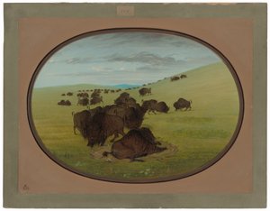 Una pozza di bufalo da George Catlin