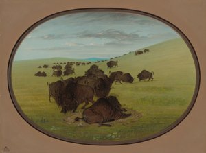 Una pozza di bufali, 1861-1869 da George Catlin
