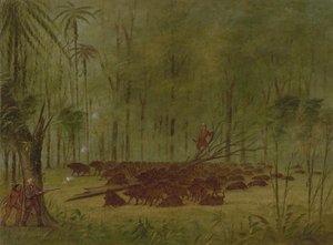 Una lotta con i pecari - Caribbe, 1854-1869 da George Catlin