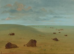 Dopo la Caccia al Bisonte - Sioux, 1861-1869
