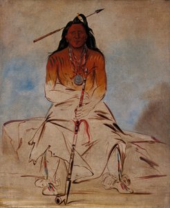 Ah-sháw-wah-róoks-te, Cavallo di Medicina, un Grande Coraggioso Pawnee da George Catlin
