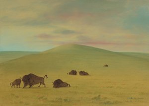 Pascolo americano - Praterie del Platte, 1861-1869 da George Catlin