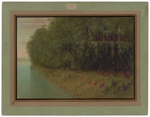 Una foresta amazzonica - Guardando a riva da George Catlin