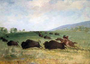 Un indiano Osage che lancia un bufalo da George Catlin