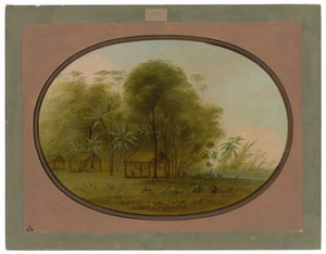 Villaggio Arowak da George Catlin