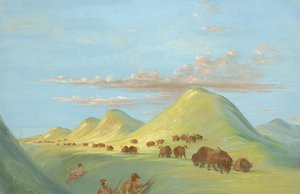 Batiste, Bogard e io ci avviciniamo a Buffalo sul Missouri da George Catlin