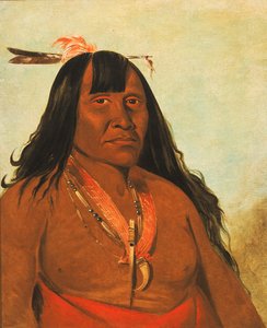Bón-són-gee, Nuovo Fuoco, un Capo Banda da George Catlin
