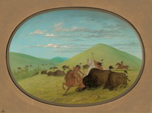 Caccia al bufalo - Tori che proteggono i vitelli da George Catlin