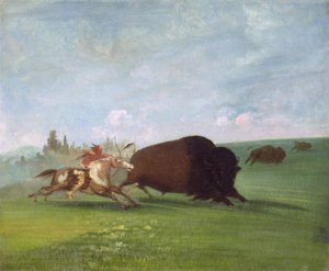 Caccia al bufalo, una morte singola, 1832-1833 da George Catlin