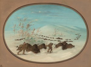 Caccia al bufalo nelle nevi - Ojibbeway da George Catlin