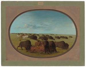 Caccia al bufalo, con incidenti da George Catlin