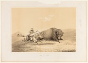Caccia al bufalo, inseguimento n. 5 da George Catlin