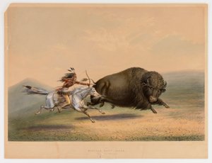 Caccia al bufalo, inseguimento n. 5 da George Catlin