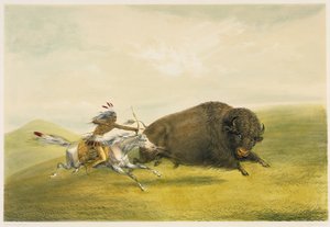 Buffalo Hunt Chase (litografia a colori) da George Catlin