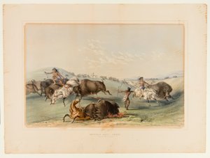 Caccia al bufalo, inseguimento n. 7 da George Catlin