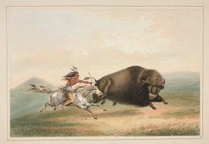 Caccia al bufalo, inseguimento, tav. 5 dal Portfolio degli Indiani d