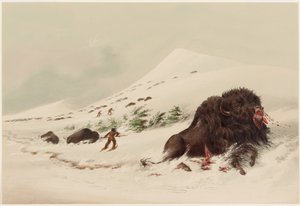  da George Catlin