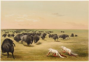  da George Catlin