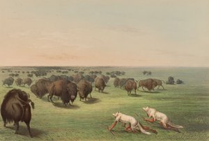  da George Catlin