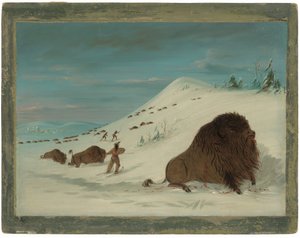 Caccia al bufalo nelle nevi - Sioux da George Catlin