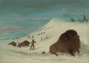 Caccia al bufalo nelle nevi - Sioux da George Catlin