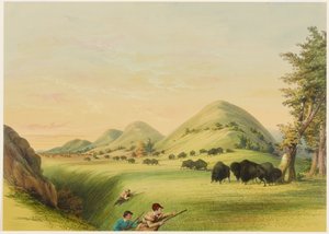 Caccia al bisonte, avvicinamento in un burrone da George Catlin