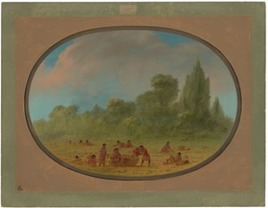 Indiani Caddoe che raccolgono fragole selvatiche da George Catlin