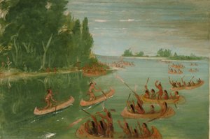 Gara di canoa vicino a Sault Ste. Marie