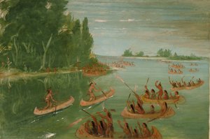 Gara di canoe vicino a Sault Ste. Marie da George Catlin