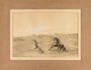 Catturare il cavallo selvaggio - n. 4 da George Catlin